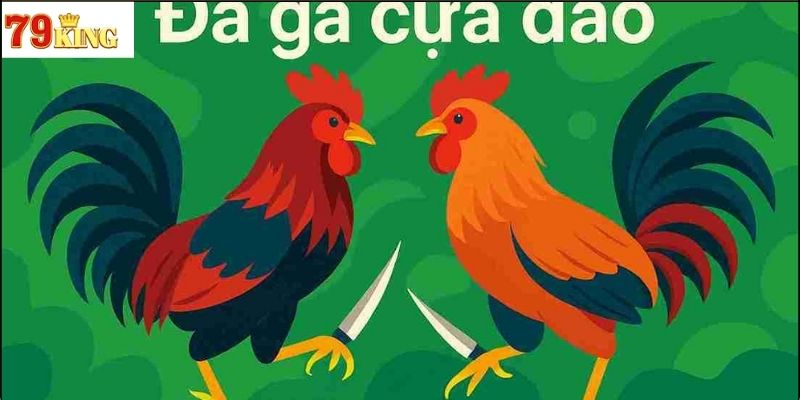Những lưu ý khi tham gia đá gà cựa dao