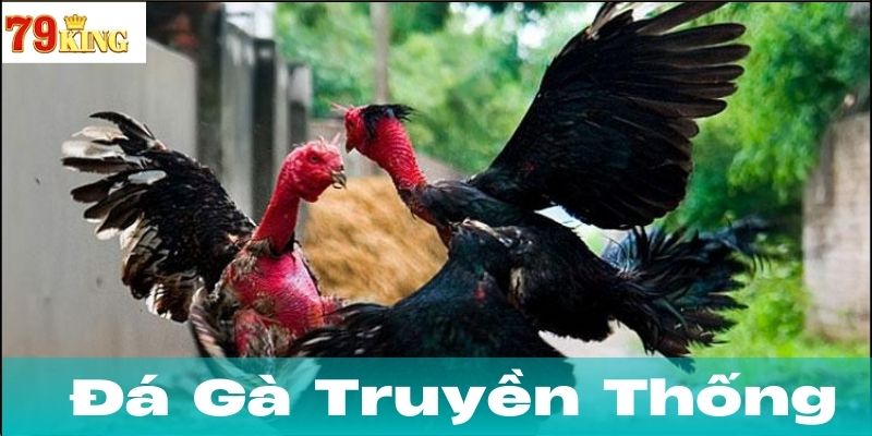 Những lưu ý quan trọng khi tham gia đá gà truyền thống