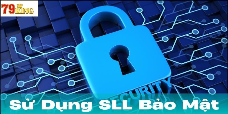 Quyền lợi và nghĩa vụ của người dùng